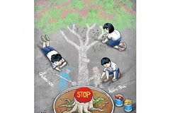 Nỗi buồn cây phượng và nỗi lo môi trường thiên nhiên