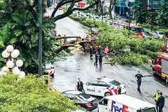 Singapore - Thách thức tầm nhìn xanh
