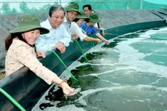 TPHCM thúc đẩy kết nối, tiêu thụ sản phẩm chủ lực ngành nông nghiệp