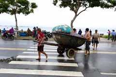 Đà Nẵng ráo riết chuẩn bị phòng bão số 5