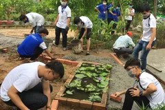 Hành trình xanh hóa những điểm đen