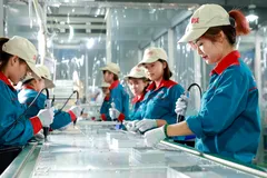 Cấp thiết hỗ trợ doanh nghiệp Việt