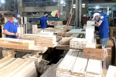 Công ty cổ phần Chế biến gỗ Thuận An (Bình Dương) chuyên sản xuất gỗ cao su
