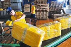 Triển vọng giá cao su năm 2022
