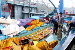 Săn “lộc biển” đầu năm