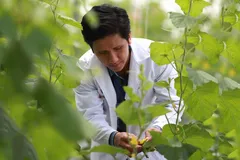 Huyện “lên” quận, thành phố: Nông nghiệp chuyển mình bằng công nghệ cao