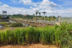 Một căn nhà tạm nhằm phục vụ sản xuất nông nghiệp ở Củ Chi. Ảnh: ĐỖ TRÀ GIANG