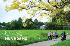 Xứ Huế mùa hoa nở