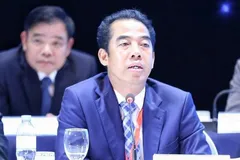 Bắt Thứ trưởng Bộ Ngoại giao Tô Anh Dũng