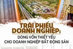 Ảnh minh họa.