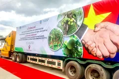 Phải hợp lực của các DN đi cùng nhau và hỗ trợ của Nhà nước để tận dụng lợi thế EVFTA.