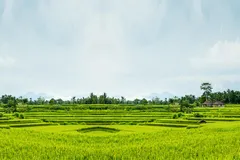 Tản mạn người nhà quê