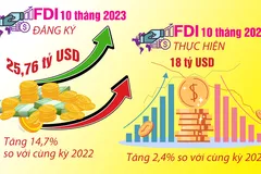 Chủ tịch VAFIE: 'Đánh giá hiệu quả thu hút FDI, không nên nhìn con số thống kê'