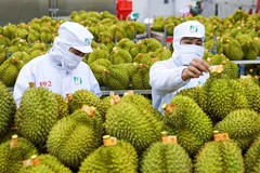 Việt Nam đang có nhiều cơ hội mở rộng xuất khẩu mặt hàng nông sản, thực phẩm sang ASEAN