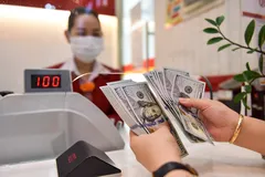 Kích hoạt đầu ra cho kiều hối bằng cách nào?