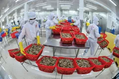 Nghịch lý 'rào cản nội' làm khó doanh nghiệp xuất khẩu