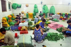 Nghị quyết Hội nghị TƯ 5 về phát triển kinh tế tư nhân
