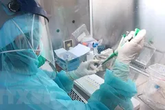 Lấy mẫu xét nghiệm virus SARS-CoV-2. (Ảnh: TTXVN/Vietnam+)