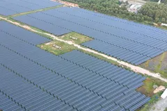 Điện mặt trời tại huyện Đức Hòa, tỉnh Long An. Ảnh: CAO THĂNG