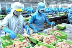 Doanh nghiệp Việt Nam cần chủ động hơn trong thị trường RCEP