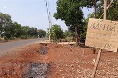 Nhà đầu tư cần tỉnh táo trước những cơn 'sốt đất'