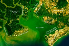 Phát triển Cần Giờ nhìn từ bối cảnh vùng