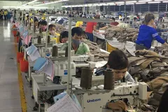 Ưu đãi thuế quan từ CPTPP mới chỉ đạt 4%.
