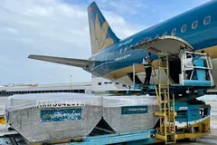 Vietnam Airlines miễn phí vận chuyển vaccine và vật tư tiêm chủng Covid-19