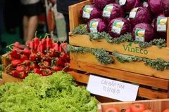 Kiểm soát lạm phát bằng các kịch bản điều hành giá 