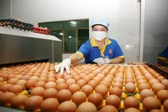 Nhiều DN thể hiện rõ trách nhiệm với xã hội, với đất nước trong thời điểm vô cùng khó khăn này.