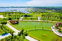 Giấc mơ phát triển năng lượng sạch
