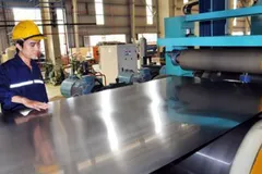 DN Việt Nam mới được tiếp cận và xử lý các vụ việc PVTM trong khoảng 10 năm trở lại đây.