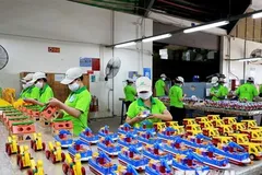 Từ 1/4, Tổng cục Thống kê tiến hành điều tra doanh nghiệp năm 2023