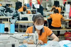 Cần cơ chế đánh giá độc lập các quy định, chính sách về cải thiện môi trường kinh doanh