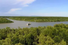 Rừng phòng hộ Cần Giờ đáp ứng 4/8 tiêu chí đề cử khu Ramsar.