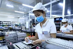 Đầu tư trực tiếp nước ngoài (FDI) trong năm ngoái đạt 36,6 tỷ USD. (Ảnh: Tuấn Anh/TTXVN)