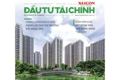 Đón đọc ĐTTC bộ mới số 269 phát hành thứ hai ngày 9-6-2025