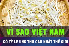Đón xem Chuyển động kinh tế - Góc nhìn chuyên gia, 6 giờ 30 ngày 16-6