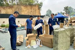 "Không có vùng cấm, không có ngoại lệ" trong việc chống buôn lậu, hàng giả, gian lận thương mại và xâm phạm sở hữu trí tuệ.