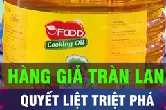Đón xem Chuyển động kinh tế - Góc nhìn chuyên gia, 6 giờ 30 ngày 30-6