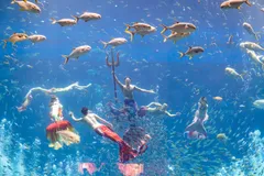 Trải nghiệm độc nhất tại Phú Quốc trong dịp hè