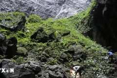 Vườn Quốc gia Phong Nha-Kẻ Bàng: Phát hiện 38 loài trong Sách đỏ