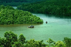 Rừng ngập mặn Cần Giờ là khu dự trữ sinh quyển thế giới đầu tiên tại Việt Nam được UNESCO công nhận.