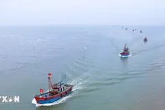 Thủ tướng yêu cầu triển khai tháng cao điểm gỡ 'thẻ vàng' xuất khẩu thủy sản