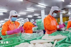 Tuyên bố chung Việt Nam và Hoa Kỳ, củng cố vị thế trong chuỗi cung ứng toàn cầu