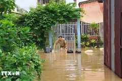 Triều cường dâng cao gây ngập nhiều nhà cửa ở Vĩnh Long. (Ảnh: Phúc Sơn/TTXVN)