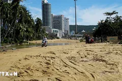 Bờ biển Quy Nhơn tan hoang sau cơn bão số 13