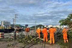 Do ảnh hưởng của bão số 13 với gió mạnh trên diện rộng, nhiều khu vực thuộc miền Trung và Tây Nguyên đã xảy ra sự cố nghiêm trọng trên lưới điện