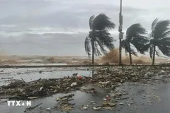 Các tỉnh ven biển Quảng Ninh đến Đắk Lắk bị ảnh hưởng cơn bão số 14 Phượng Hoàng 