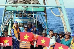 '4 chống', '4 nhất' gỡ thẻ vàng xuất khẩu thủy sản